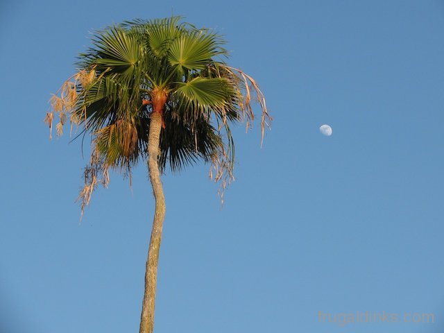 dunedin-sunset-june-11-2011-1
