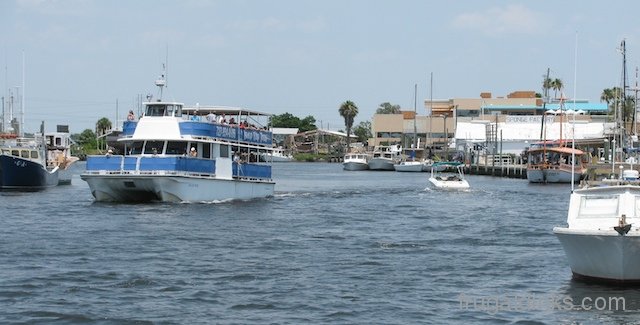 tarpon-springs-june-2011-31