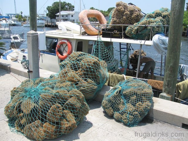 tarpon-springs-june-2011-40